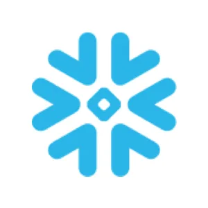 Snowflake Torii Integration